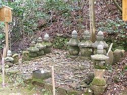 �����_��