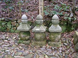 �����_��