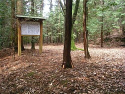 ���������̐�