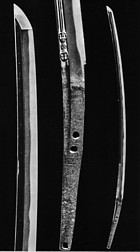 �����s�̑���