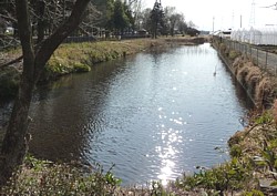 ��_����