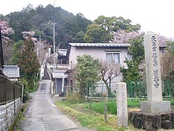 �������ւ̎Q��