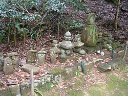 �吆�ꑰ�̕揊