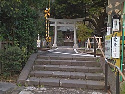 ���_�Ђ̒���