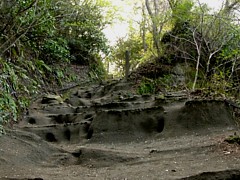 化粧坂切通しと海蔵寺