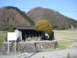 �����ꑰ�̕_��