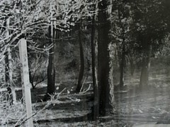 奥野の相撲場跡